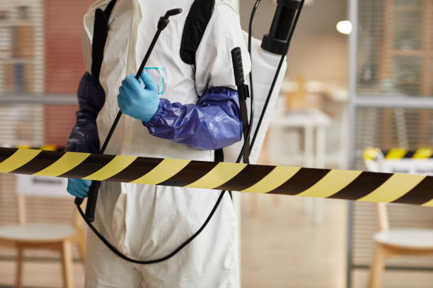 Professional Sewage Cleanup technician working in Waverly, MI